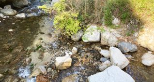 橋から見下ろす川のせせらぎ