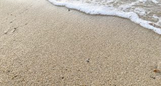 波打ち際の砂浜1