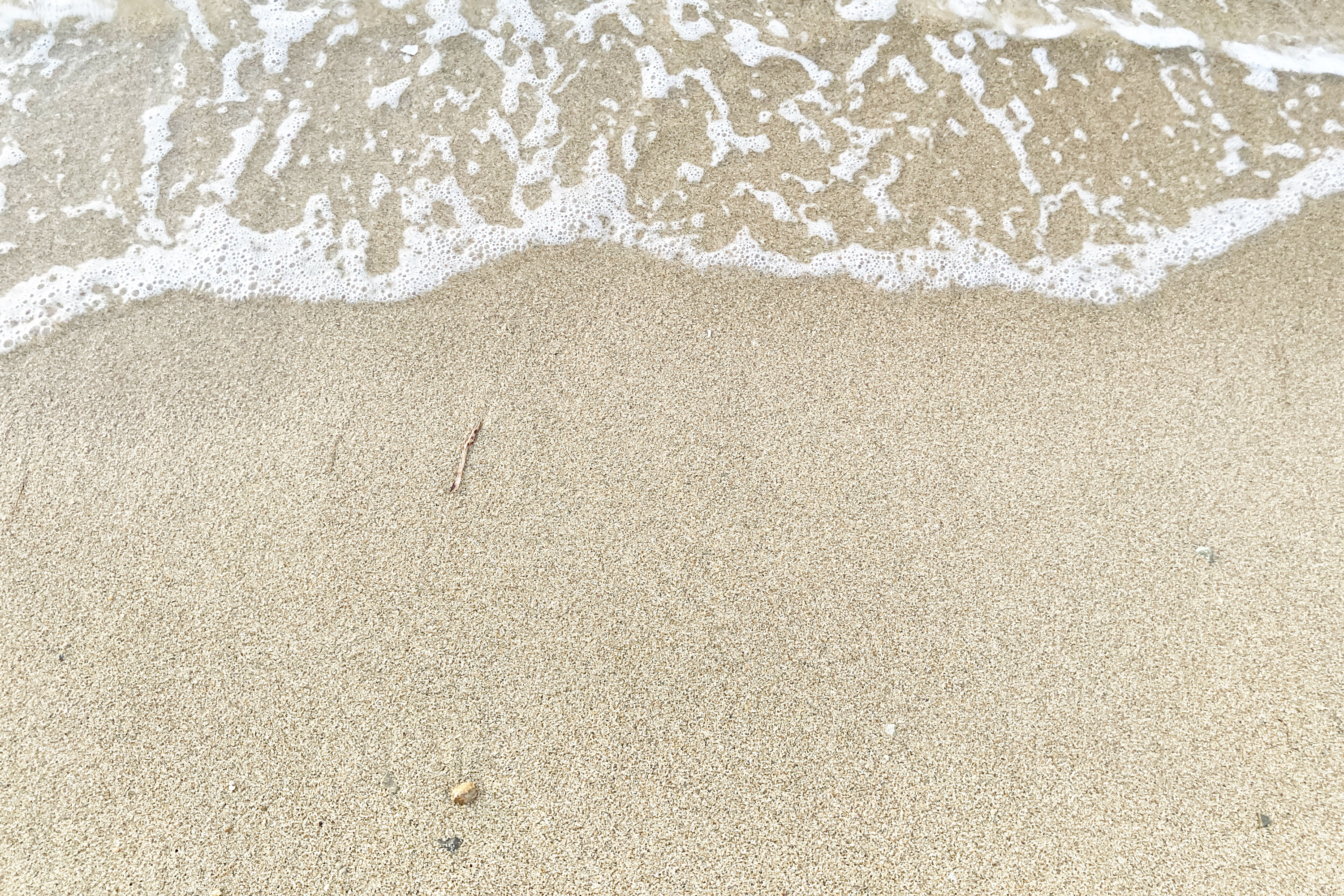 波打ち際の砂浜