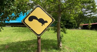 リス飛び出し注意の看板