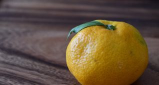 みかんと木のお盆2