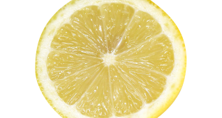 【切り抜き】レモンの輪切り