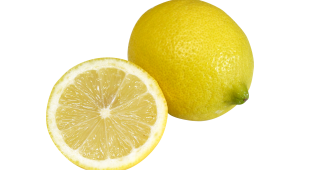 【切り抜き】カットレモンとまんまるレモン