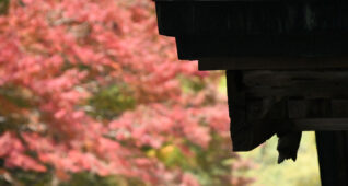 紅葉と趣のある建物