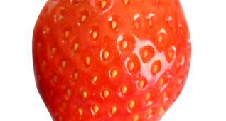 【切り抜き】苺2