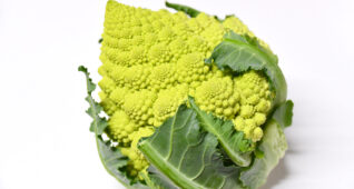 ロマネスコ1