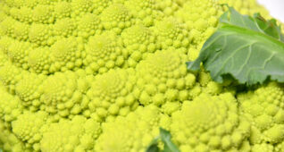 ロマネスコ2