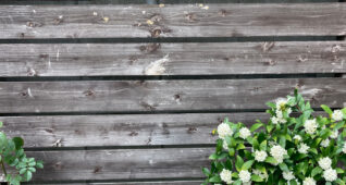 木の板と白いお花2