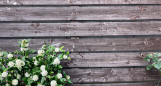 木の板と白いお花3