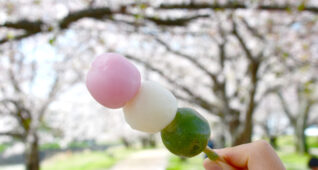 桜とお団子