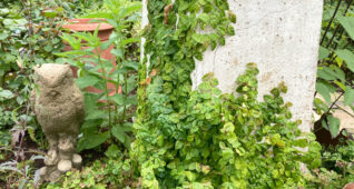 庭にあるフクロウの置物