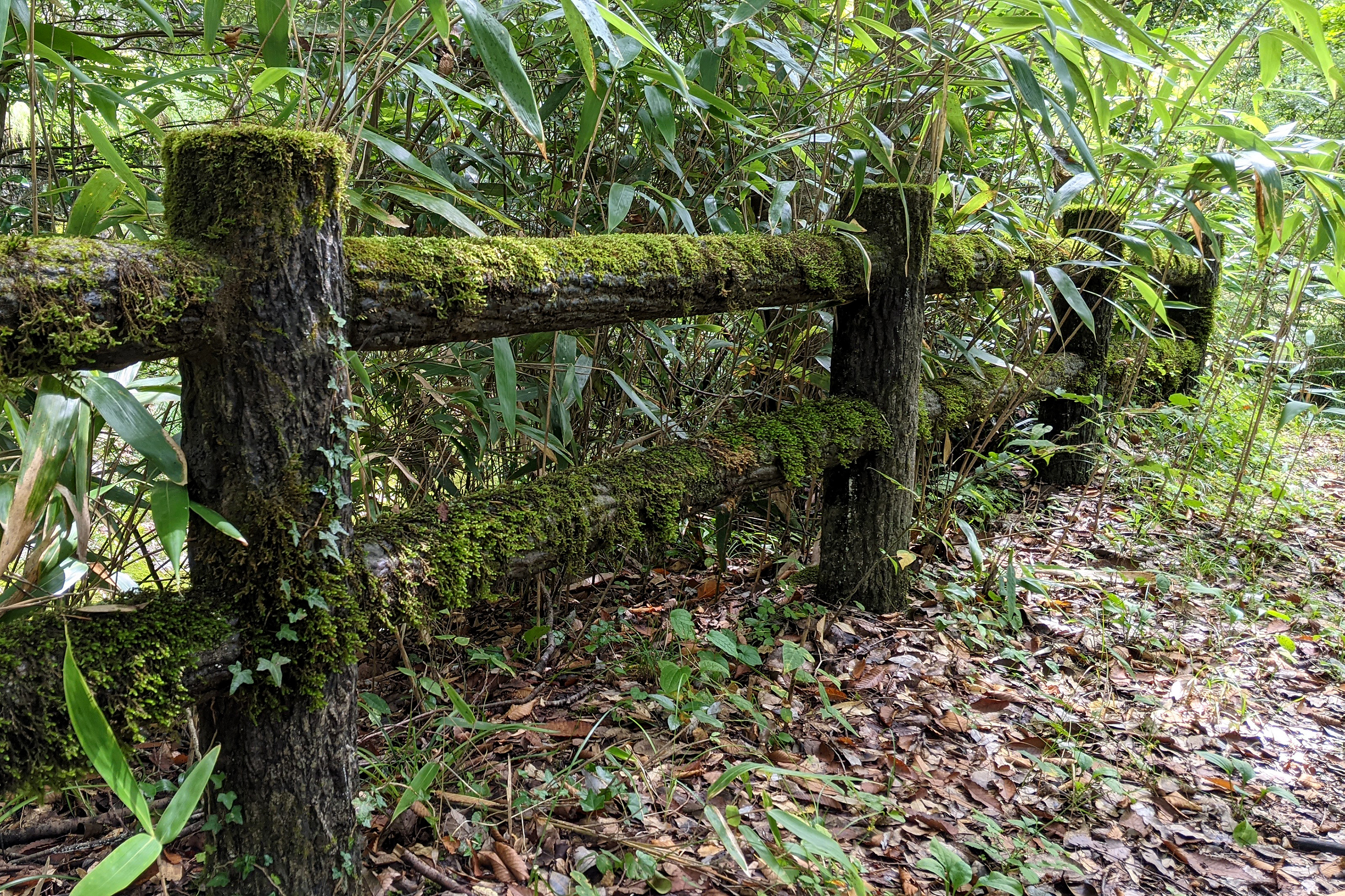 山道にある苔の生えた木の柵