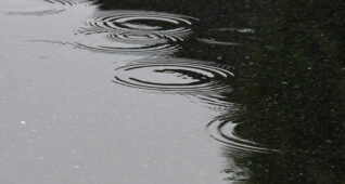 水たまりに広がる波紋