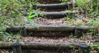 山にある木の階段