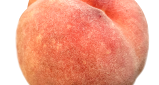 【切り抜き】桃1