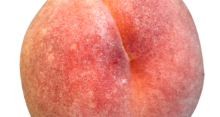 【切り抜き】桃2