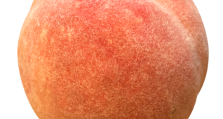 【切り抜き】桃3