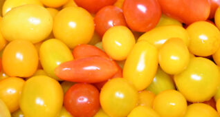 赤や黄色のミニトマト