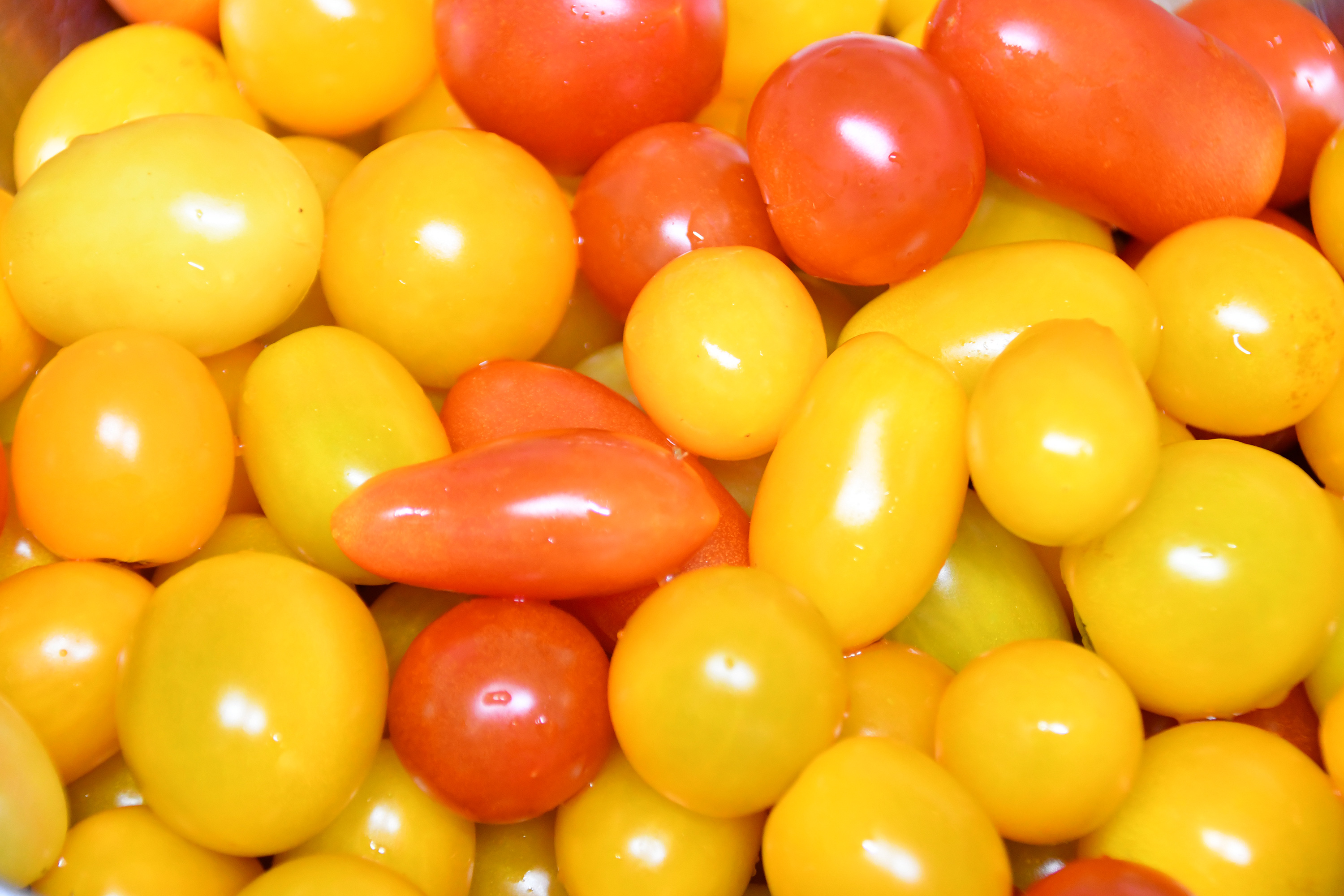 赤や黄色のミニトマト