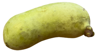 【切り抜き】幻のフルーツポポー1