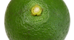 【切り抜き】まんまるのかぼす2